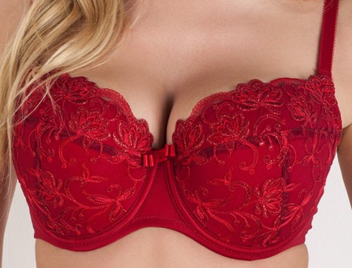 Samanta Gardenia A333 usztywniany bordowy zbliżenie.jpg